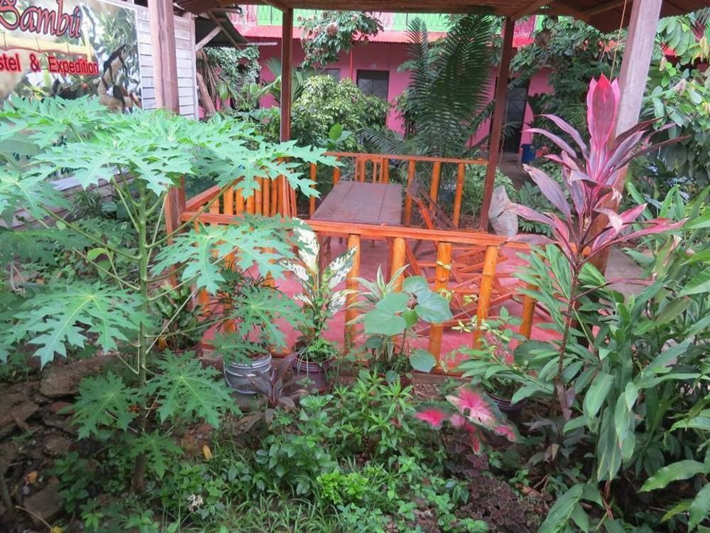 Tambopata Hostel Bambu Puerto Maldonado Dış mekan fotoğraf
