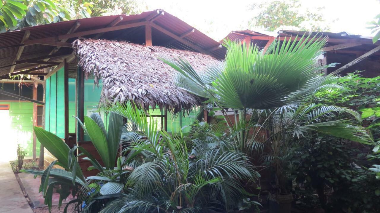 Tambopata Hostel Bambu Puerto Maldonado Dış mekan fotoğraf