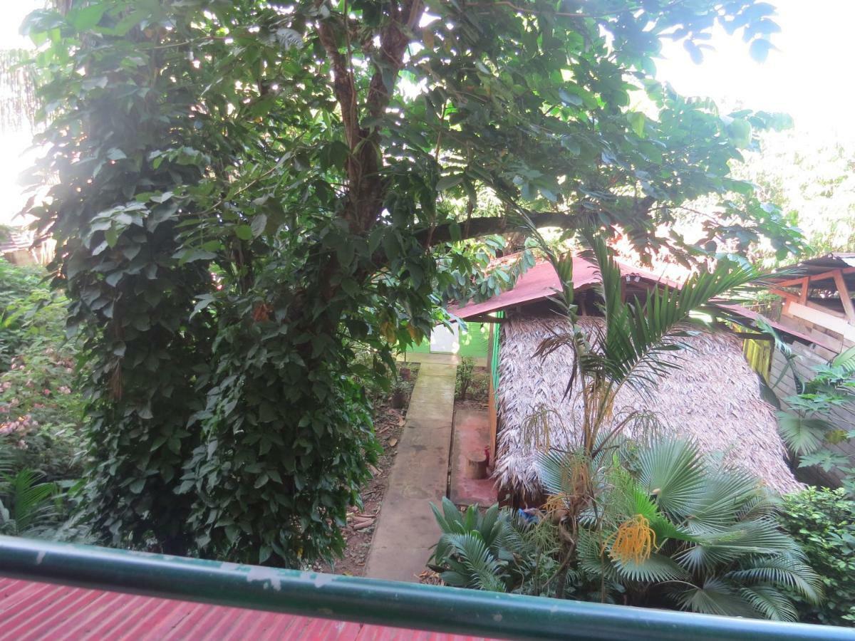 Tambopata Hostel Bambu Puerto Maldonado Dış mekan fotoğraf