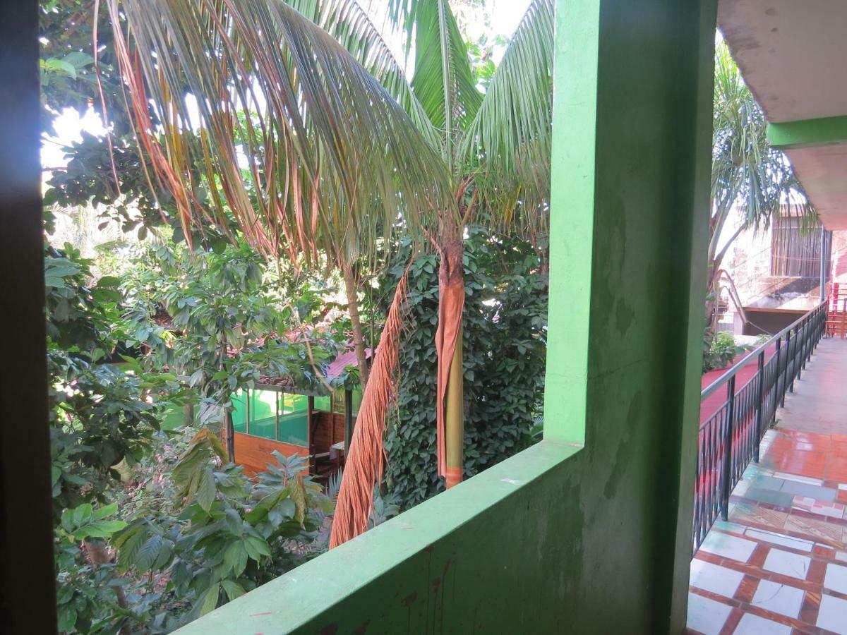 Tambopata Hostel Bambu Puerto Maldonado Dış mekan fotoğraf